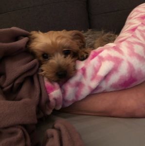 Meet your Posher, Gale